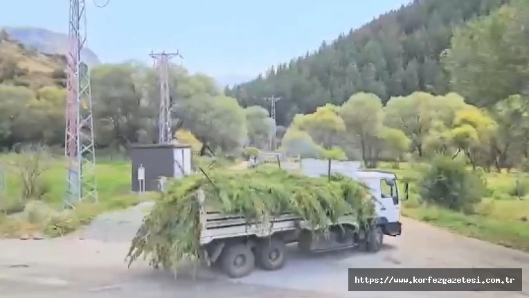 İçişleri Bakanı Yerlikaya, Uyuşturucu Operasyonlarının, Detaylarını Açıkladı