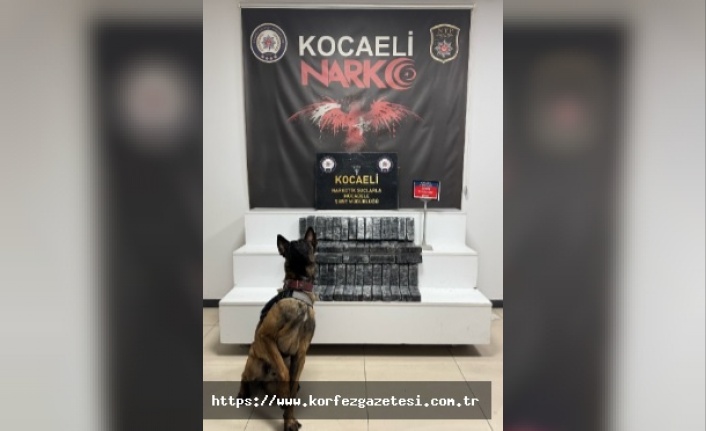 NARKOTİK SUÇLARLA MÜCADELEDE