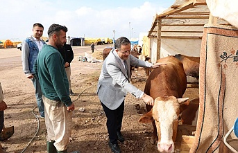 Başkan Gökçe, Kurban Pazarında, vatandaşlara hayırlı işler diledi