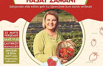 Çilek Köy’de, hasat başlıyor