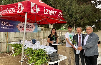 İzmit Belediyesi, mezarlıklarda defne fideleri dağıttı