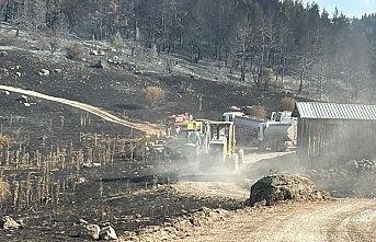 Körfez Belediyesi, Bolu’ya, Yangın Bölgesine, İş Makineleri Gönderdi